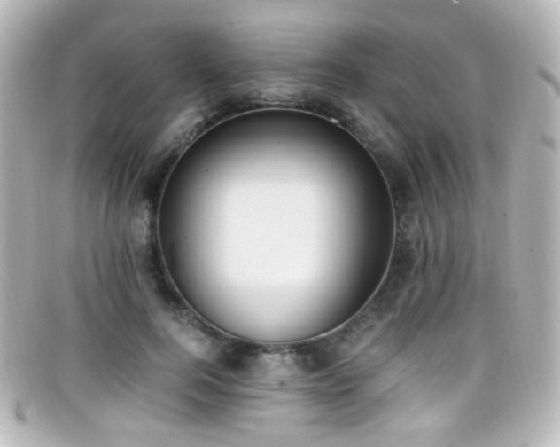 X0000099400744200805081534