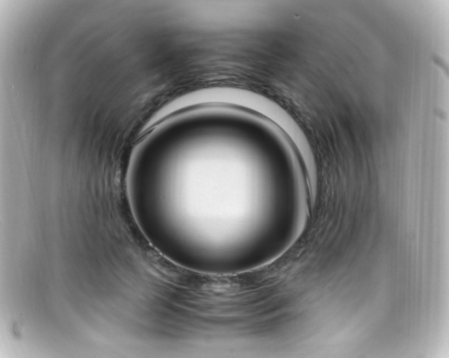 X0000099400745200805081534