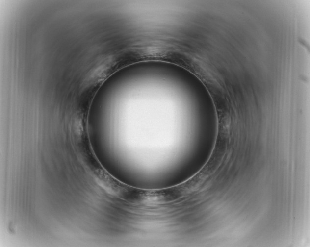X0000099400746200805081534