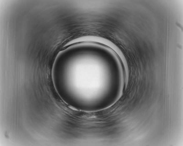 X0000099400747200805081534
