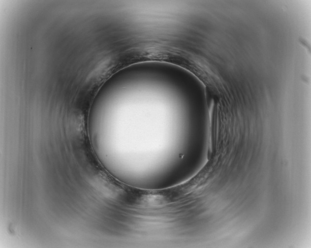 X0000099400748200805081534