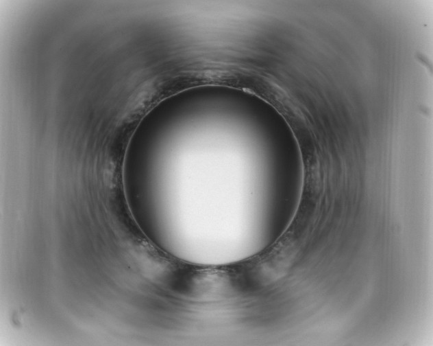 X0000099400750200805081534