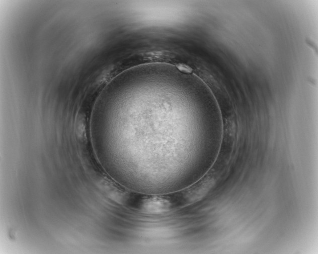 X0000099400754200805081534