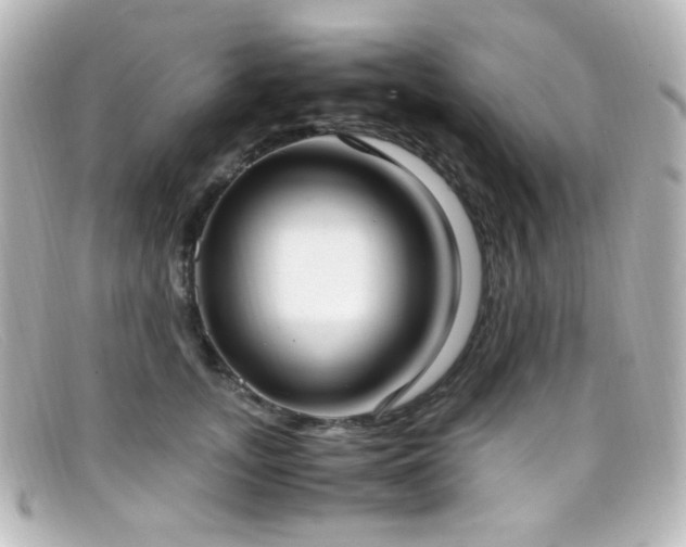 X0000099400755200805081534