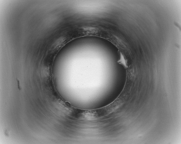 X0000099400756200805081534