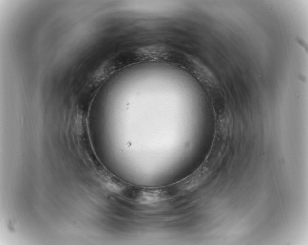X0000099400757200805081534