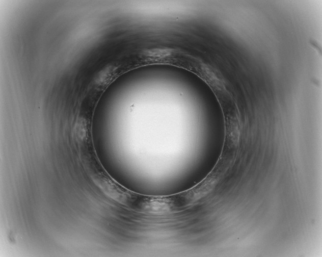 X0000099400758200805081534