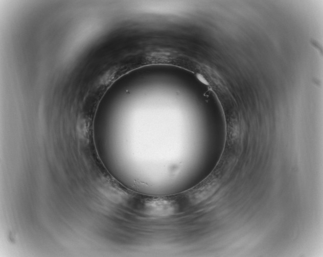 X0000099400759200805081534