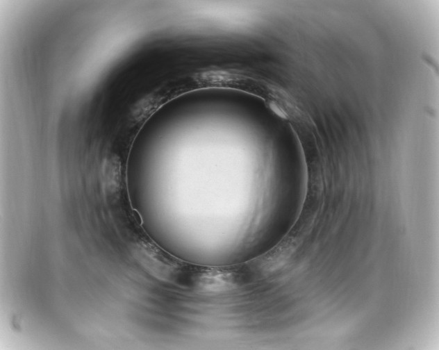 X0000099400760200805081534