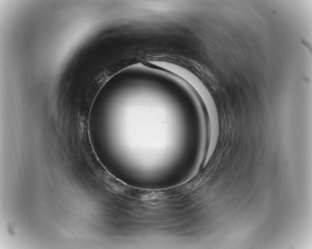 X0000099400761200805081534