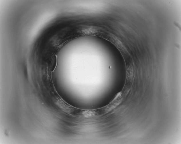X0000099400762200805081534