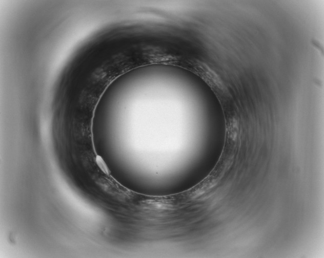 X0000099400763200805081534