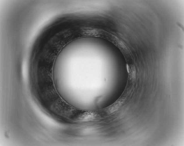 X0000099400764200805081534