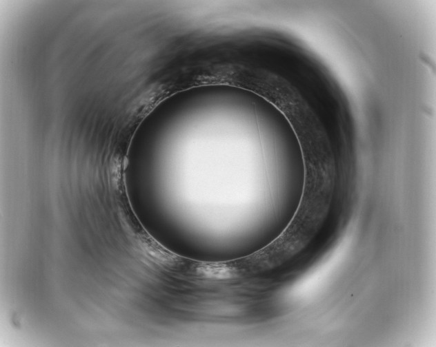 X0000099400767200805081534