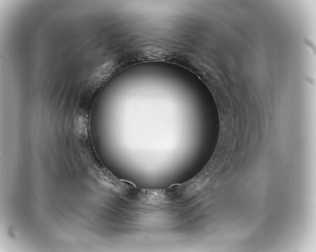 X0000099400768200805081534