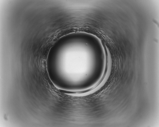 X0000099400770200805081533