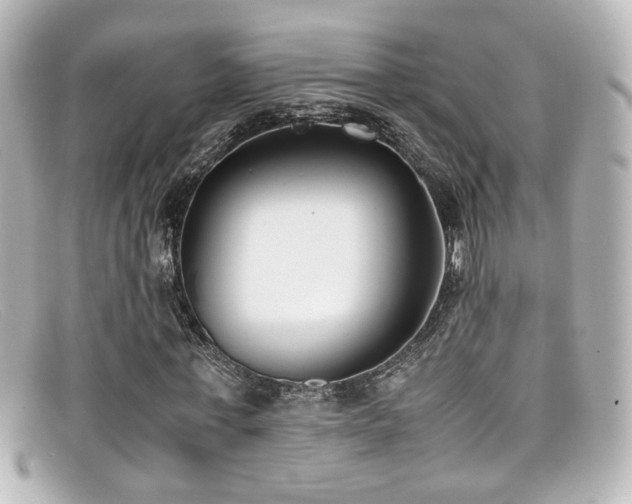X0000099400771200805081533