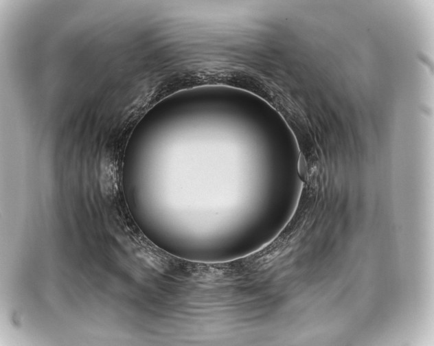X0000099400772200805081533