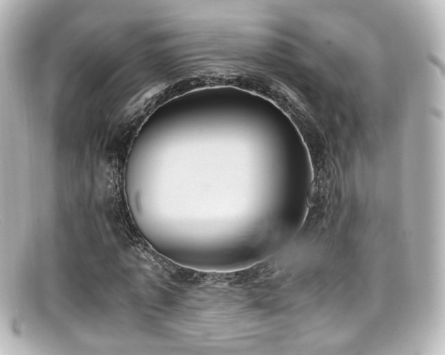 X0000099400773200805081533
