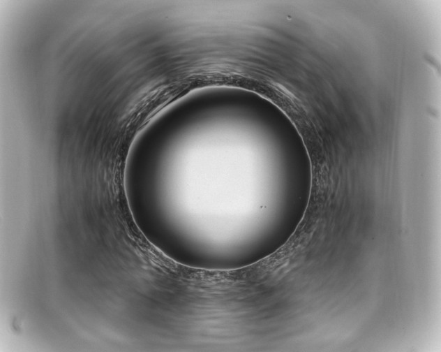 X0000099400774200805081533
