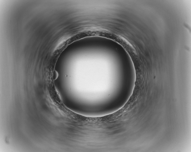 X0000099400775200805081533