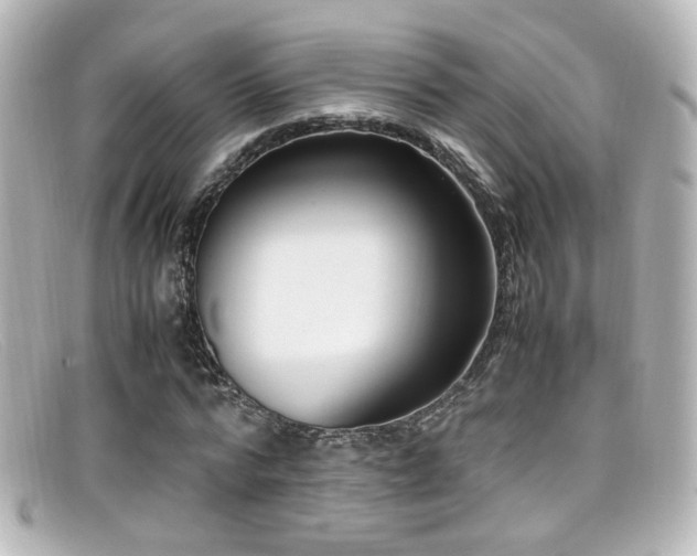 X0000099400776200805081533