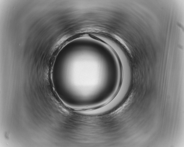 X0000099400778200805081533