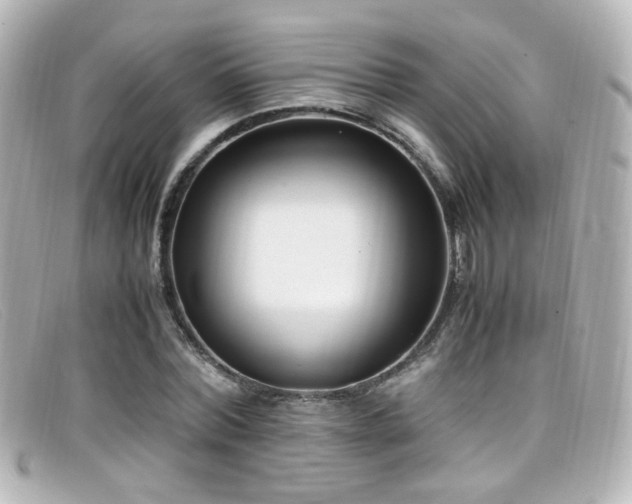 X0000099400780200805081533