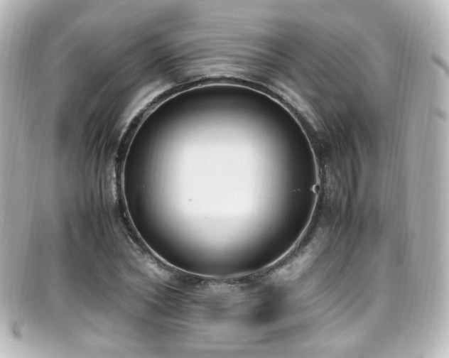 X0000099400782200805081533