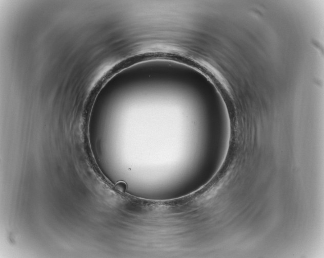 X0000099400783200805081533