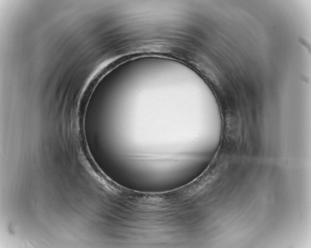 X0000099400784200805081533