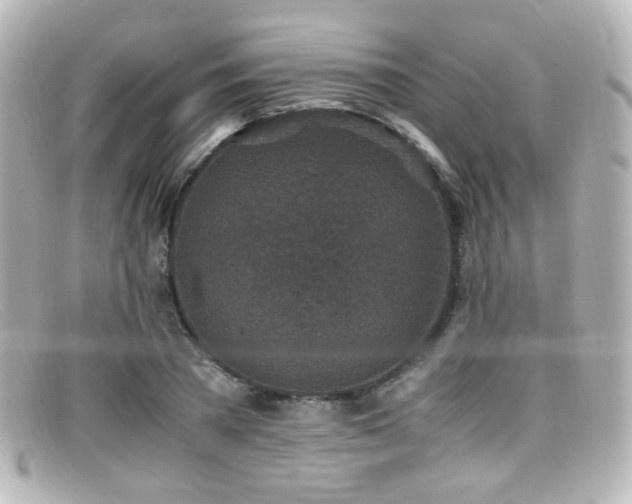 X0000099400785200805081533