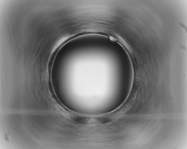 X0000099400787200805081533