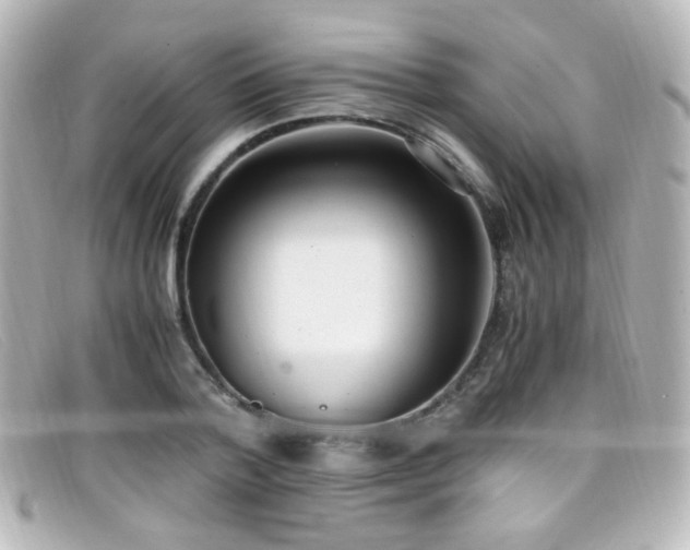 X0000099400788200805081533