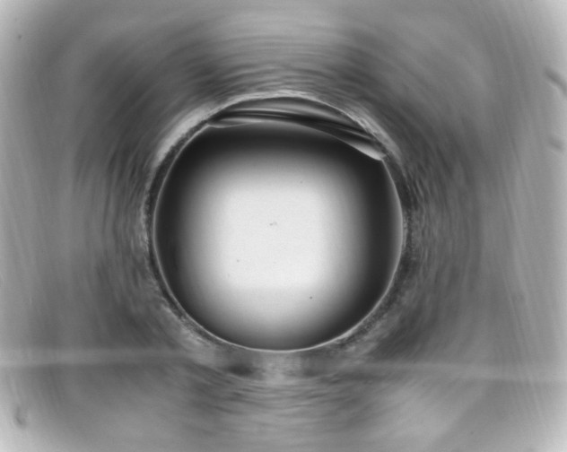 X0000099400789200805081533