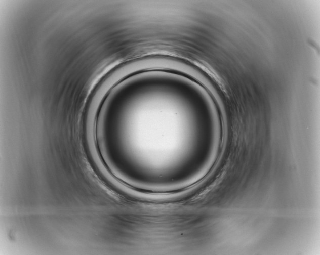 X0000099400790200805081533