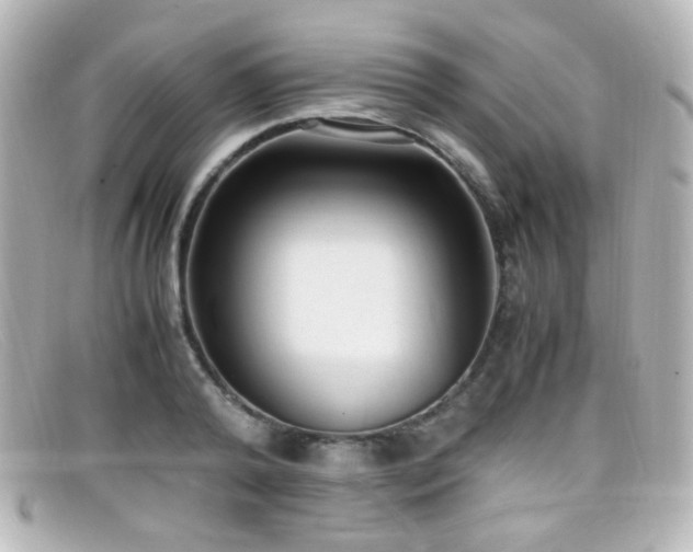 X0000099400792200805081533