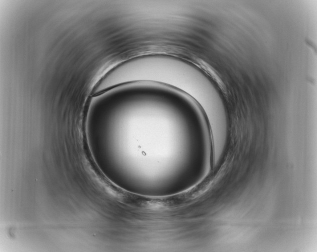 X0000099400794200805081533