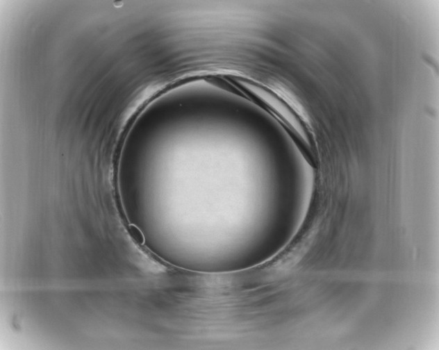 X0000099400797200805081533