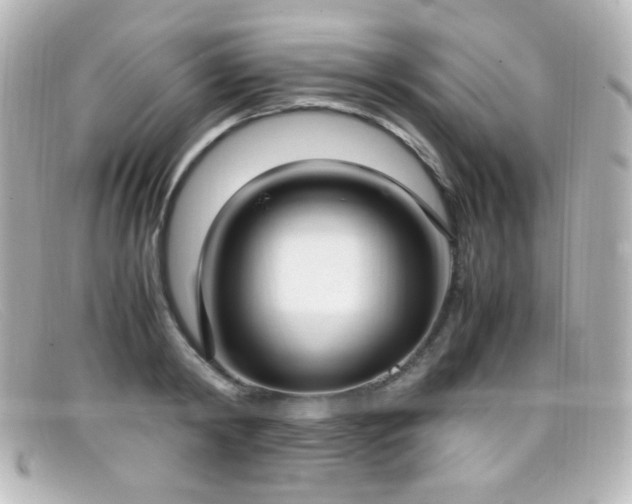 X0000099400798200805081533