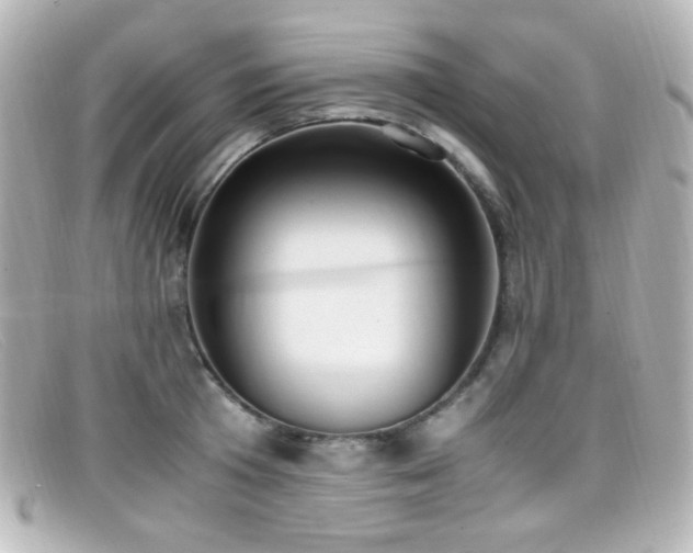 X0000099400801200805081533