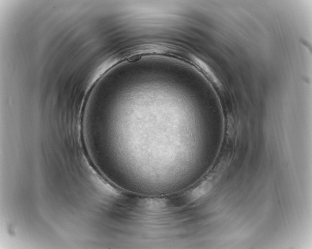X0000099400802200805081533