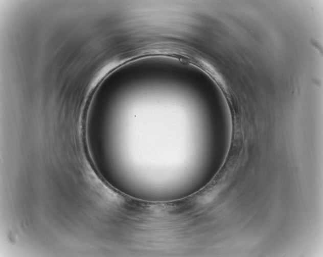 X0000099400803200805081533