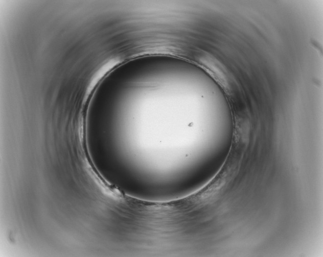 X0000099400804200805081533