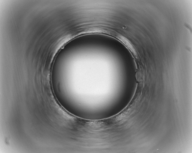 X0000099400805200805081533