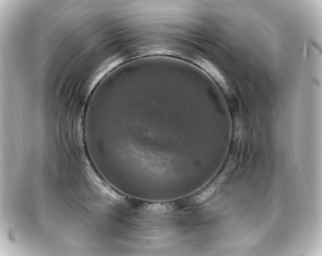 X0000099400806200805081533