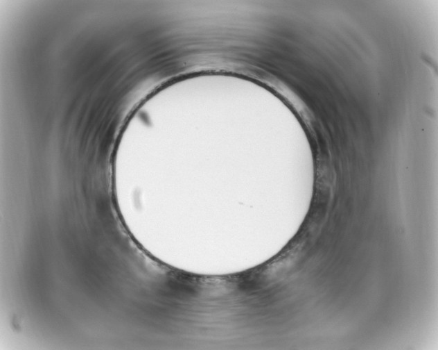X0000099400807200805081533