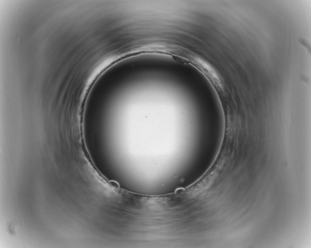 X0000099400808200805081533