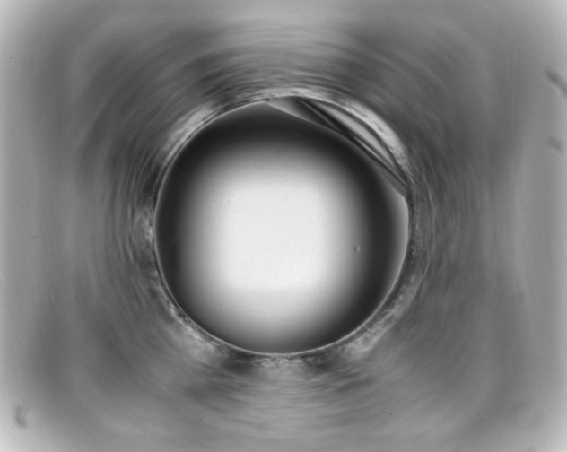 X0000099400809200805081533