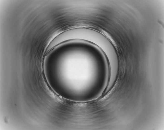 X0000099400810200805081533